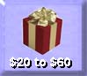 Gift Ideas $20 - $60