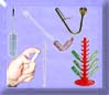 Bottle Cleaning & Filling