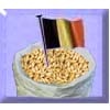 Belgian Malt (Malted Grain)
