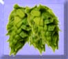 Whole Hops