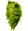 Whole Amarillo Hops 1/4oz