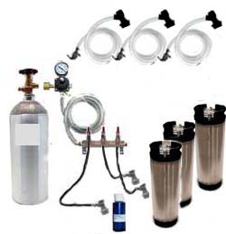 3 Keg Basic Homebrew CO2 System (used Ball Lock Kegs)